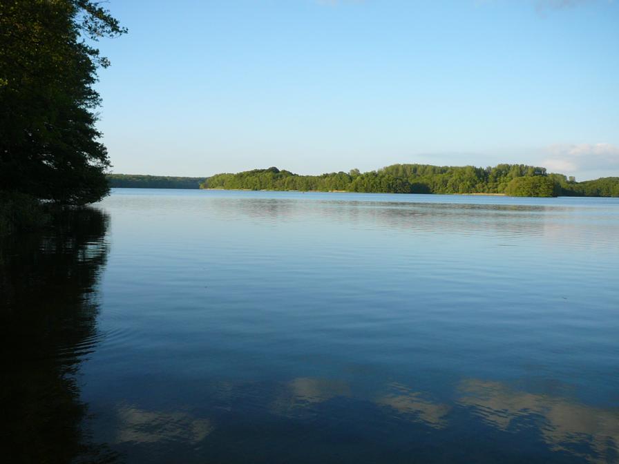 Stocksee 6_896x672.JPG