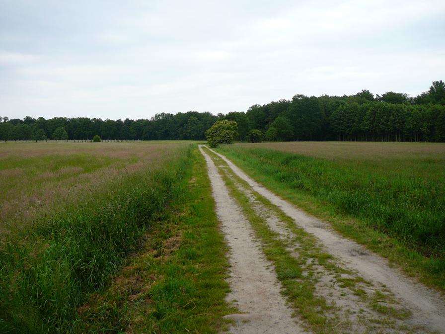 Ebstorf 5_896x672.JPG
