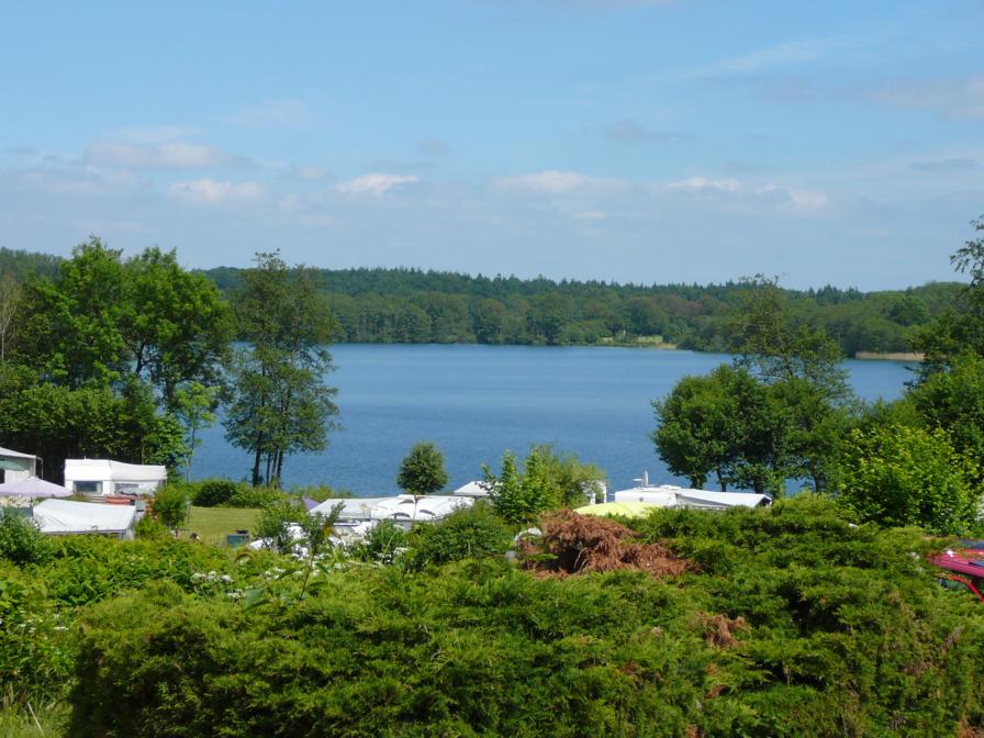 Stocksee 5_896x672.JPG