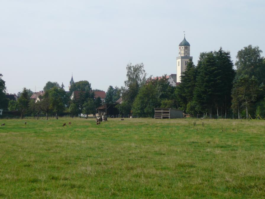 P1050720_896x672.JPG