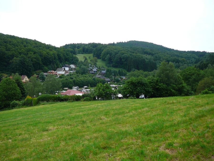 Wald - Michelbach (4)_896x672.JPG