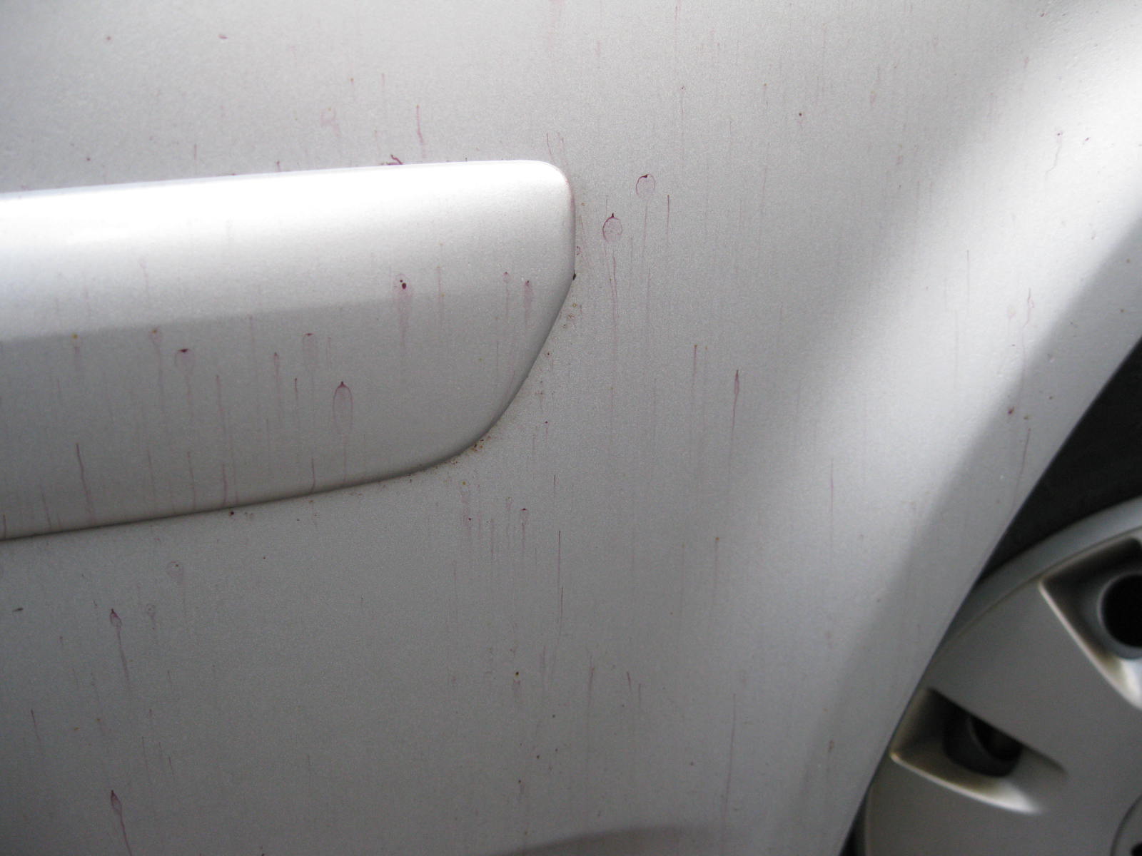 Flugrost Ganz Schon Viel Und Gross T5 2 Diskussionen Infos Und Losungen Caliboard De Die Vw Camper Community