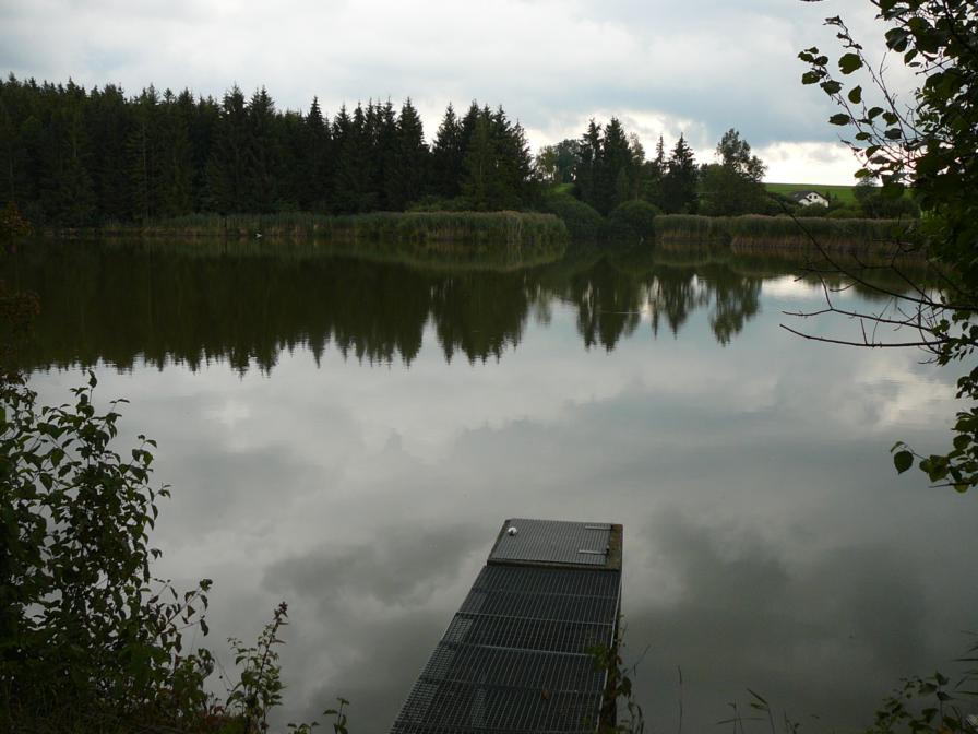 P1080411_896x672.JPG