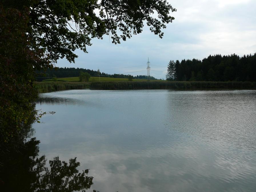 P1080429_896x672.JPG