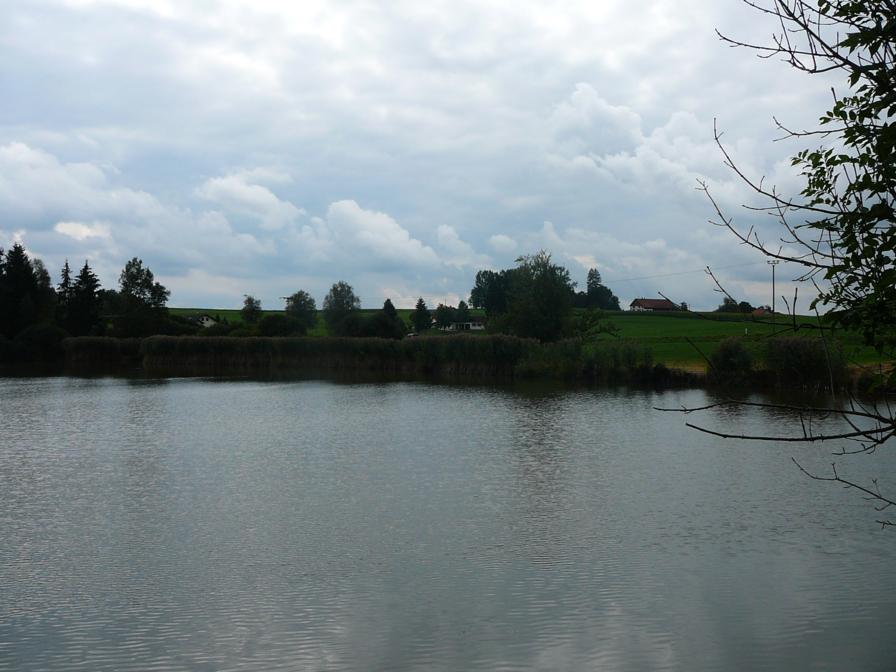 P1080430_896x672.JPG