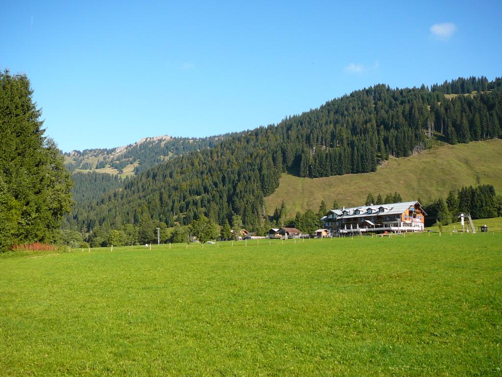 P1080579_1024x768.JPG