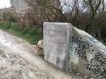 IMG_8118.JPG