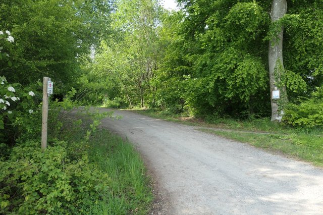 P1000230.JPG