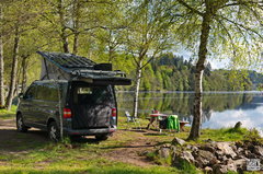 Good Morning... | Black Forrest | DE