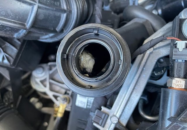 Öleinfüllstutzen Ablagerung.JPG