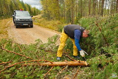 Wood Working... | Pohjois-Karjala | FI