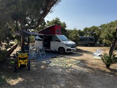 IMG_0481.JPEG