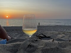 IMG_0485.JPEG