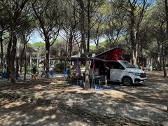 IMG_0534.JPEG