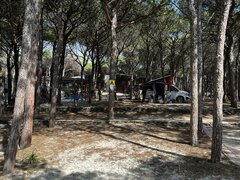 IMG_0535.JPEG