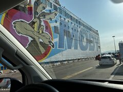 IMG_0541.JPEG