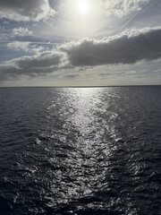 IMG_0928.JPEG