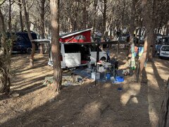 IMG_0939.JPEG