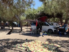IMG_1013.JPEG