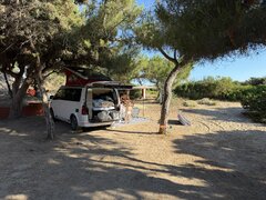 IMG_1018.JPEG