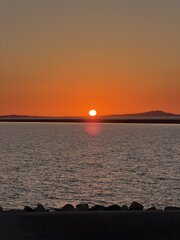 IMG_1031.JPEG
