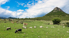 101204697_2026_05.14Sardinien(24).JPG