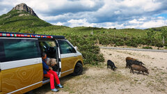 1328425084_2026_05.14Sardinien(19).JPG